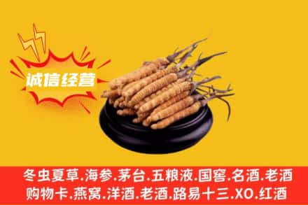 上饶回收冬虫夏草